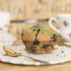 Low Histamine Cassava Flour Blueberry Muffin