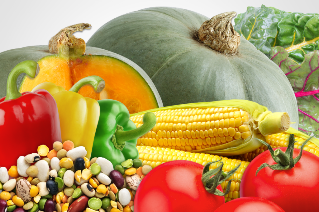 Squash, corn, beans, peppers, tomatoes