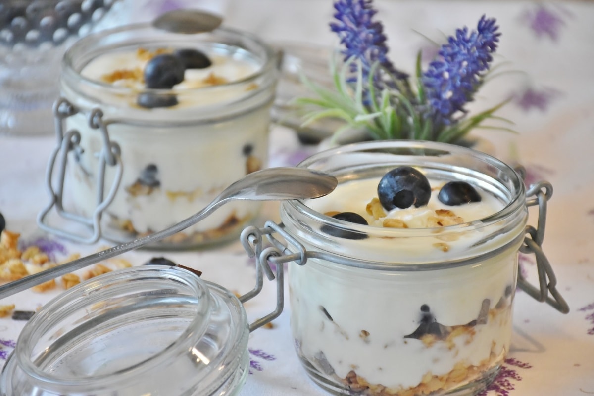 Low Histamine Yogurt Recipe (also Low Oxalate, Low Lectin, Low Carb