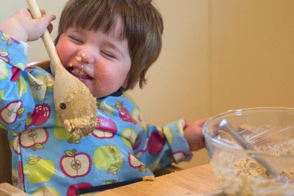 Low Histamine White Chocolate Cookie Dough Recipe for Mast Cell Activation Syndrome and Histamine Intolerance (Also Low Lectin, Lower Oxalate, Low Carb)