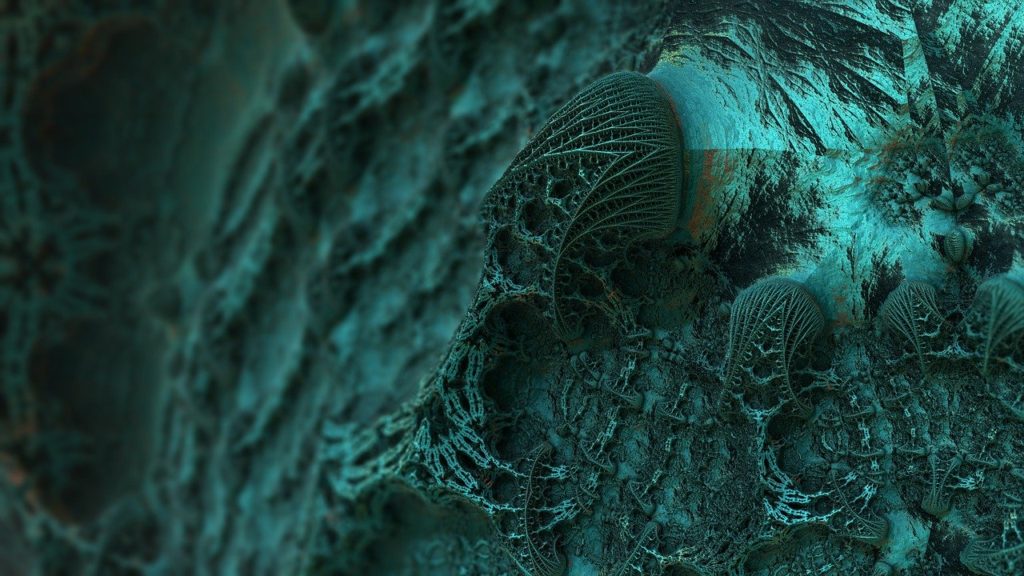 Environmental Mold