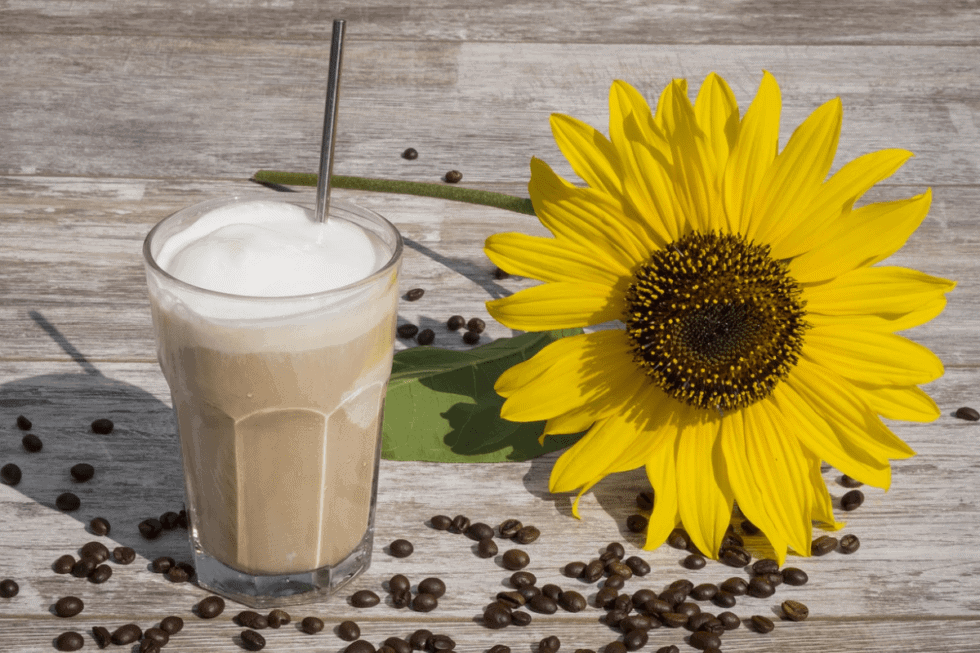 Low Histamine Frozen Vanilla Coffee Cooler Recipe