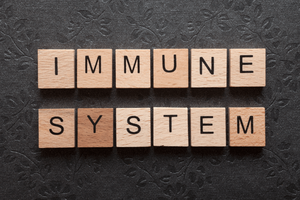 Immune System