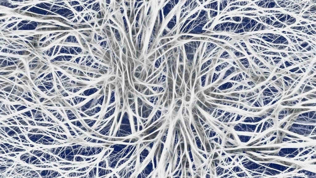 Mast Cell 360 Nerves