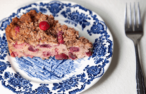 Low FODMAP Cranberry Crumble Bar