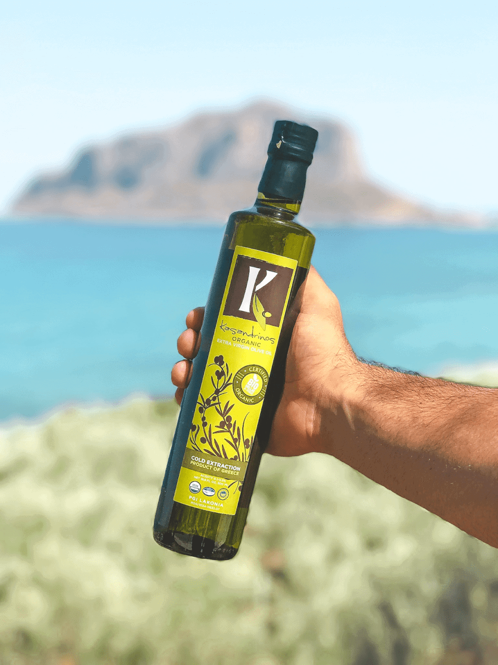 Olive Oil Avoiding the Frauds and Finding the Truth What to know