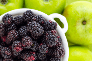 High Salicylate Foods