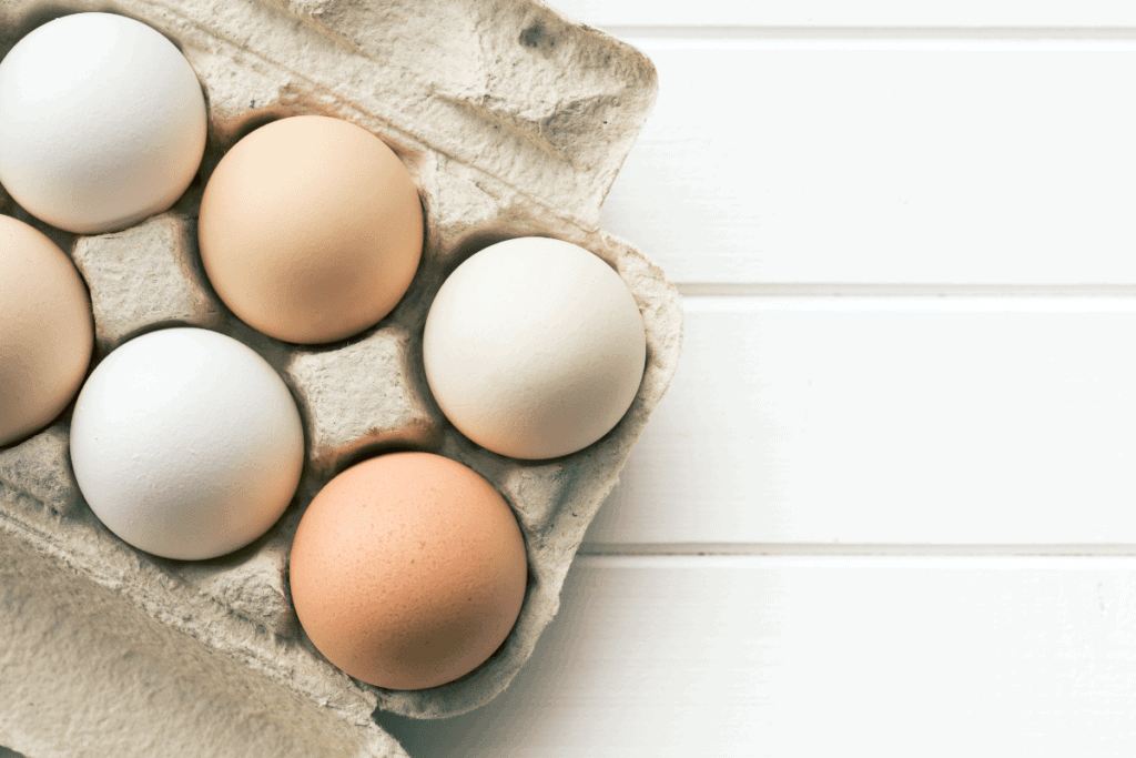 Pasture Raised Eggs in carton