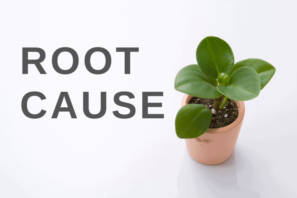 Root Cause
