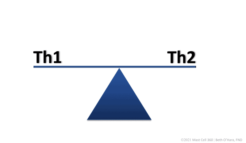 TH1 and TH2 Balanced