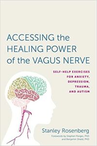Accessing Healing Power of the Vagus Nerve Book