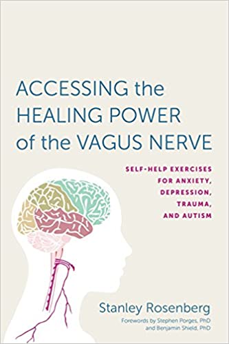 Accessing Healing Power of the Vagal Nerve Book