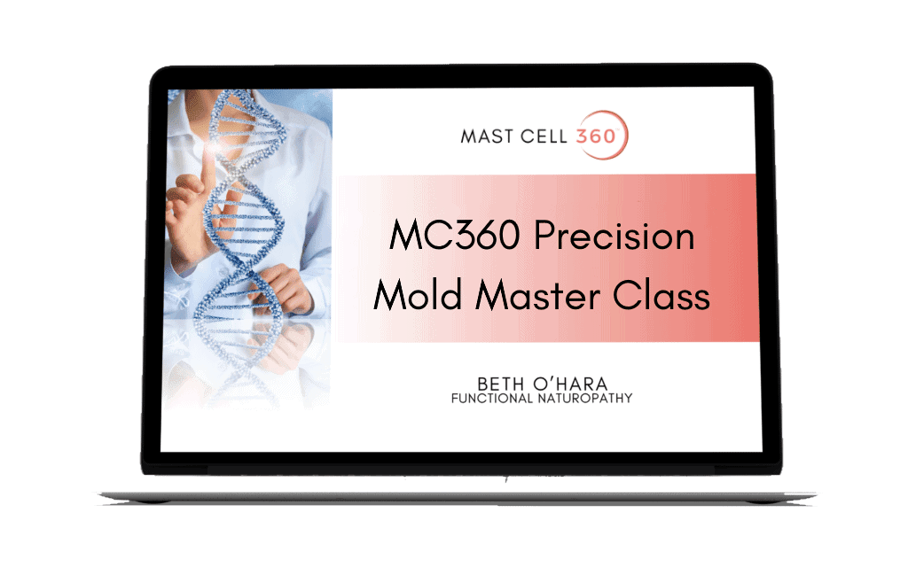 MC360 precision mold master class on laptop