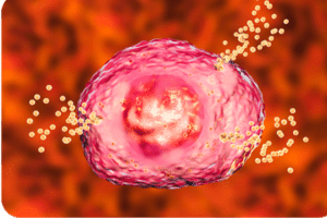 mast cell with receptors