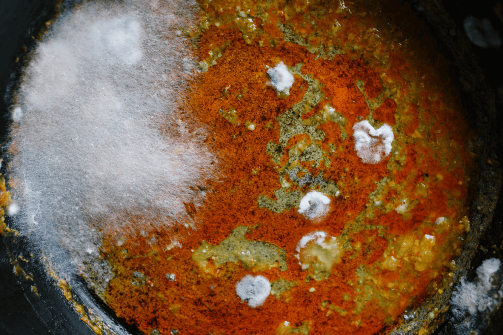 toxic mold in pan
