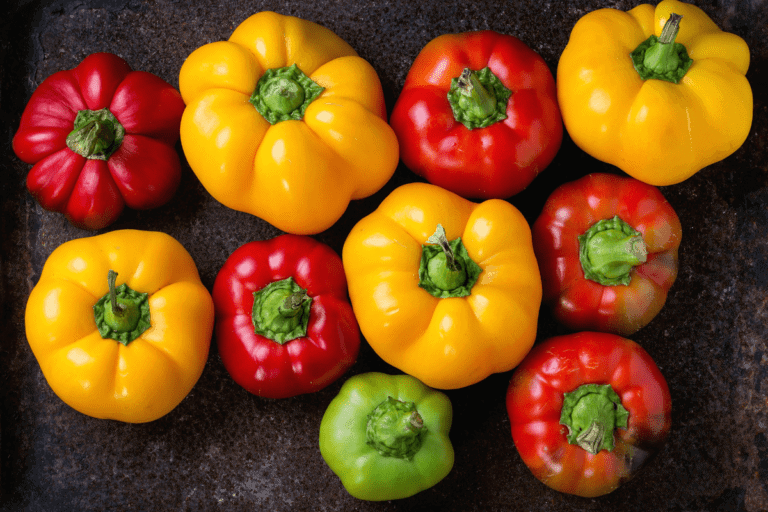 Lectins, Low Lectin Foods, and the Mast Cell Connection for those