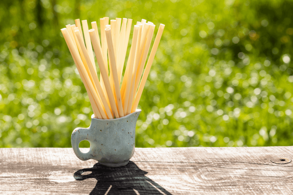 What to Know About Corn if You Have Mast Cell Activation Syndrome or