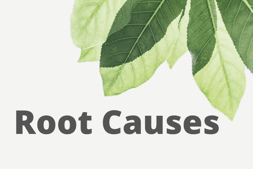 Root Causes