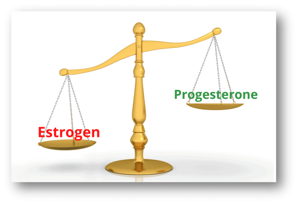 estrogen progesterone balance