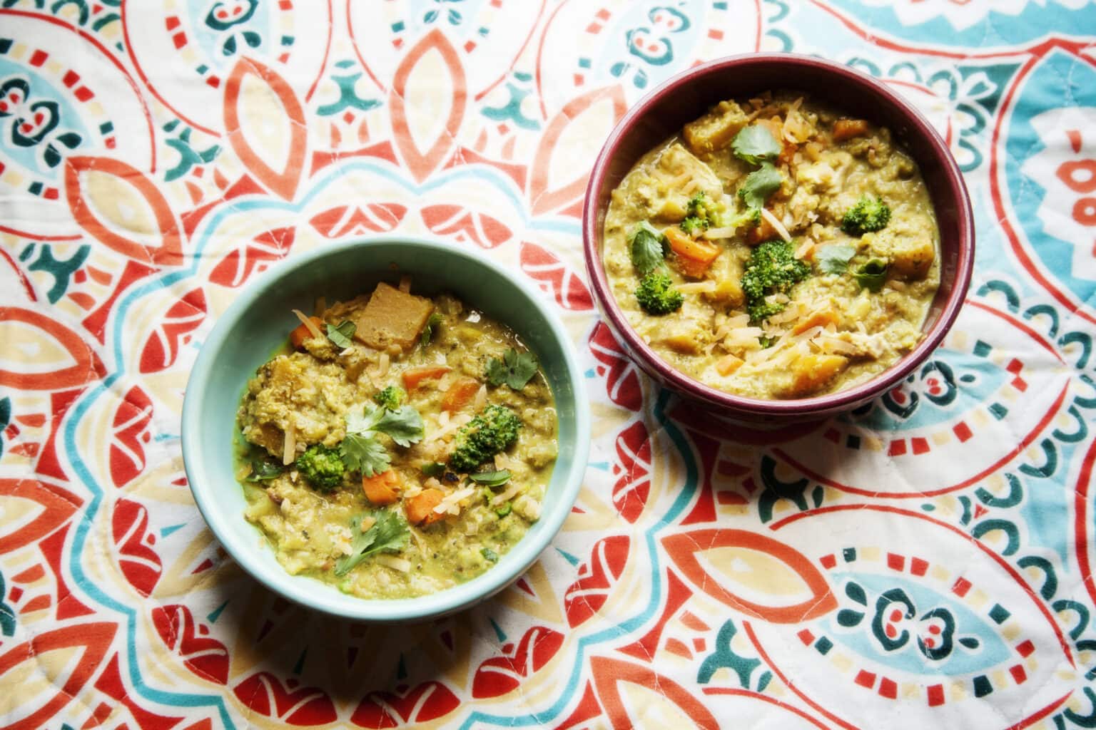 Low Histamine Vegetable Korma Mast Cell 360