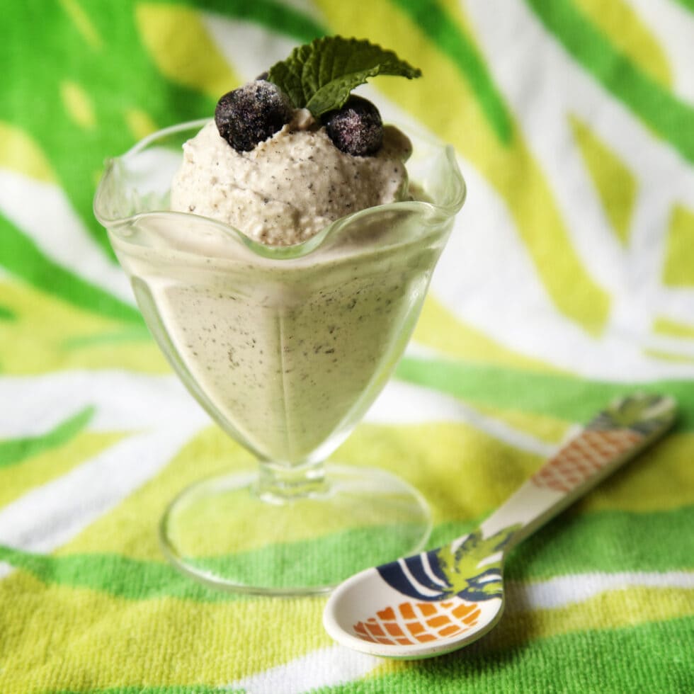 Low FODMAP Ice Cream (Also Low Histamine) Mast Cell 360