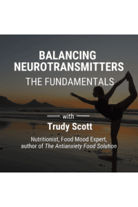 Trudy Scott's Balancing Neurotransmitters Course