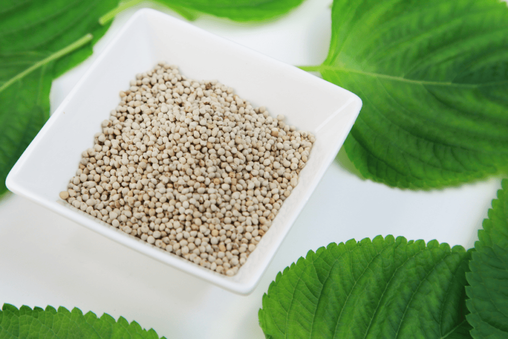 Perilla Leaves and Seeds