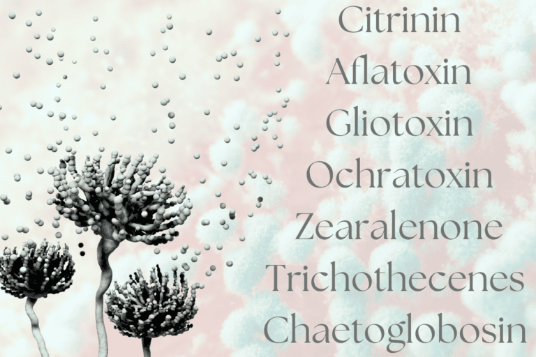 Mold and Mycotoxins