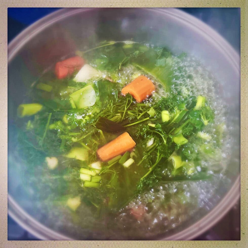 Low Histamine and Low FODMAP Vegetable Broth Mast Cell 360