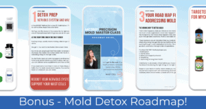 Mold Roadmap Guide Header