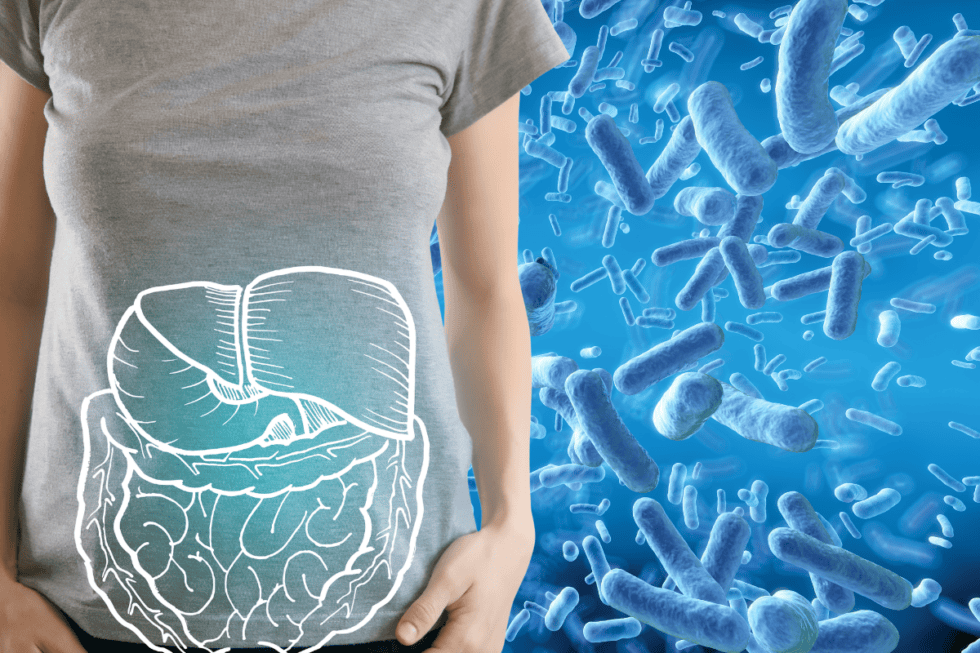Paraprobiotics