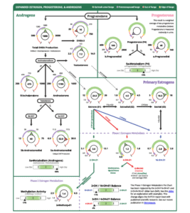 DUTCH Hormone complete sample test page