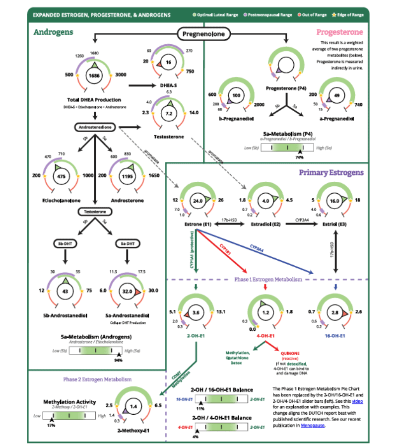 DUTCH Hormone complete sample test page