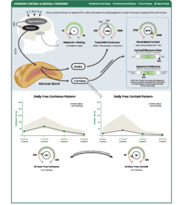 DUTCH Hormone test sample page