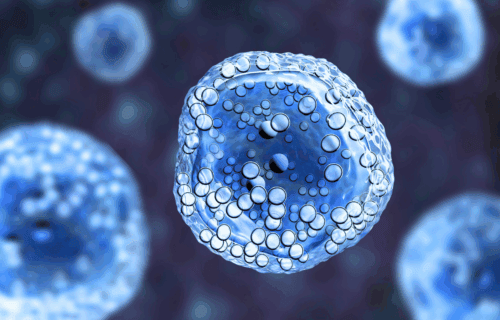 What is MCAS? A Clear guide to Mast Cell Activation Syndrome