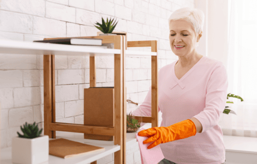 Woman Cleaning Home