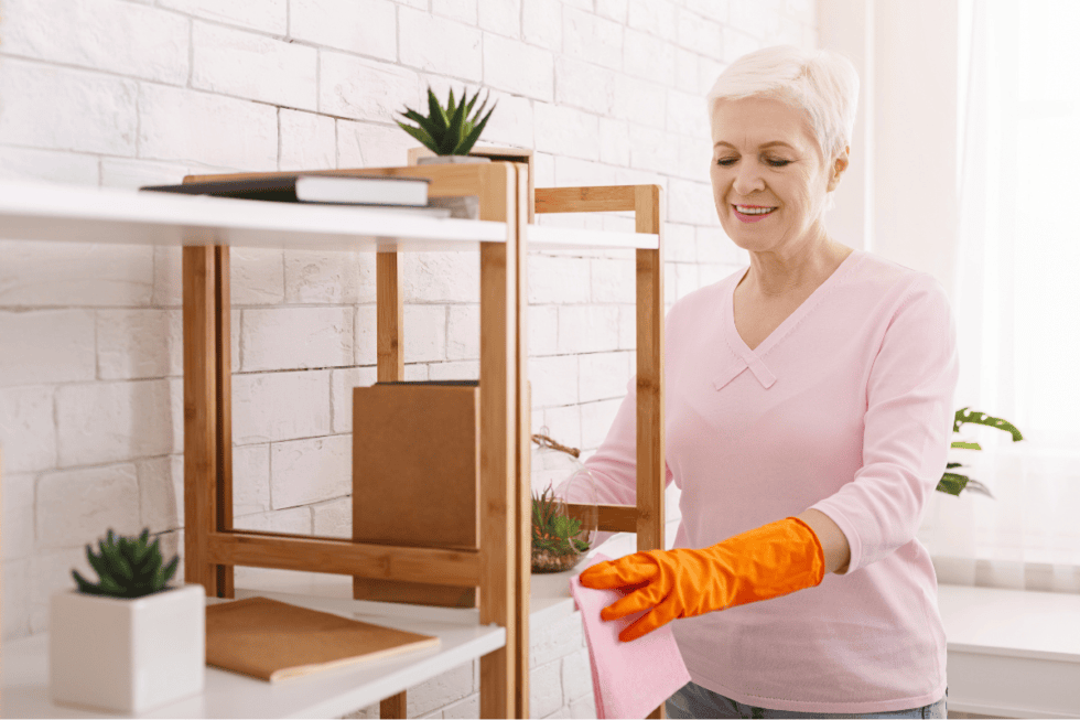 Woman Cleaning Home