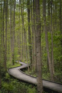 Strategy Session Sales Page Path