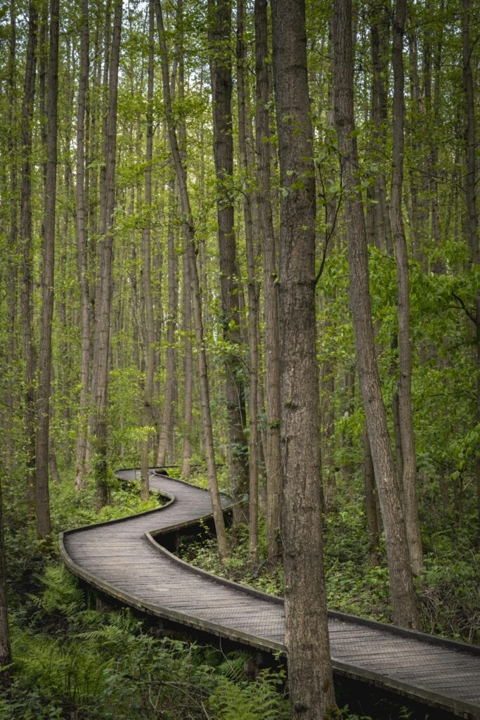 Strategy Session Sales Page Path
