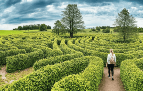 Woman in a maze. Can MCAS go away Common roadblocks.
