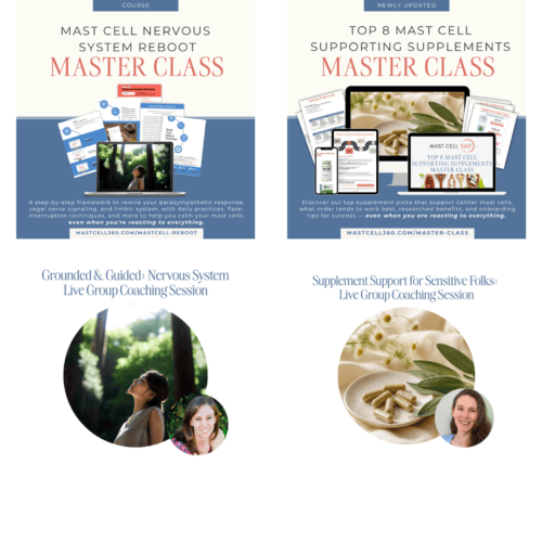 Autumn MCAS Reset: 2 Master Classes + 2 Live Group Coaching Experiences