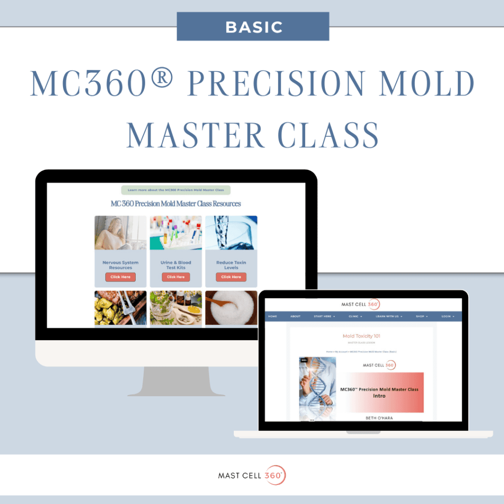 Basic Mold