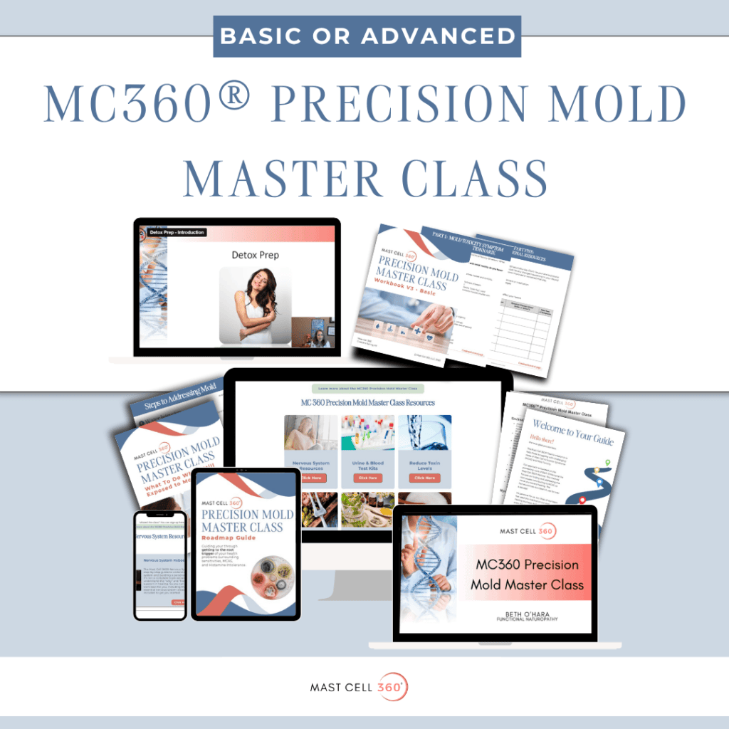 Mold Course