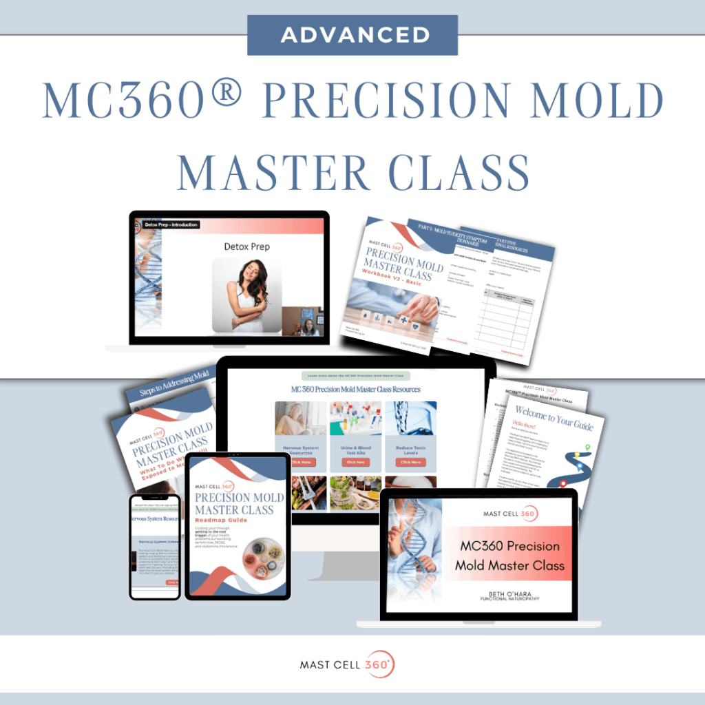 Advanced Mold